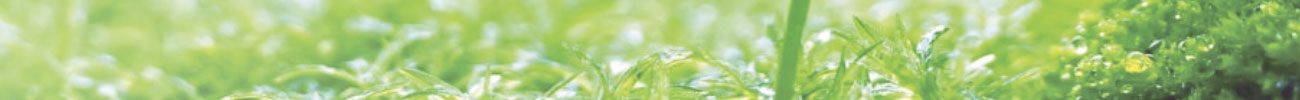 Chengdu Biopurify Phytochemicals Ltd. 