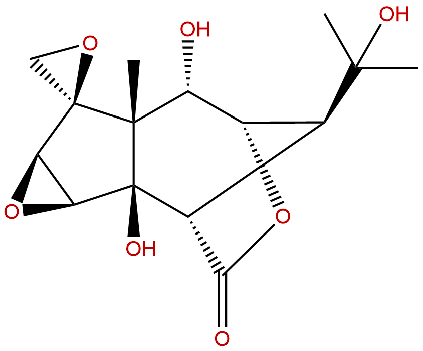 Isohyenanchin
