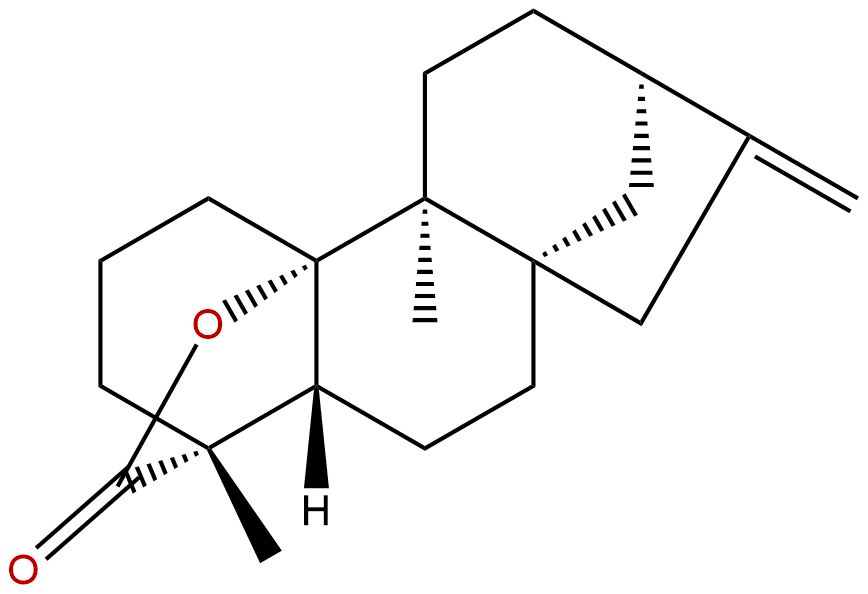 Tetrachyrin