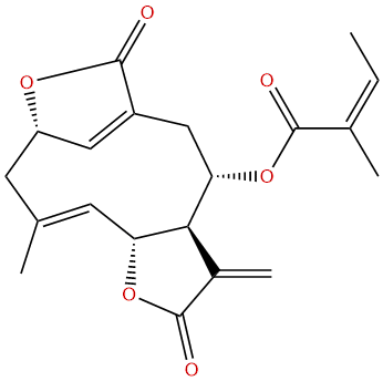Scabertopin