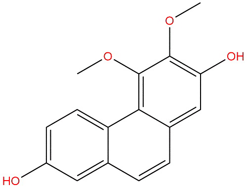 Nudol