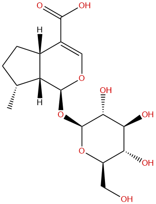 8-Epideoxyloganic acid
