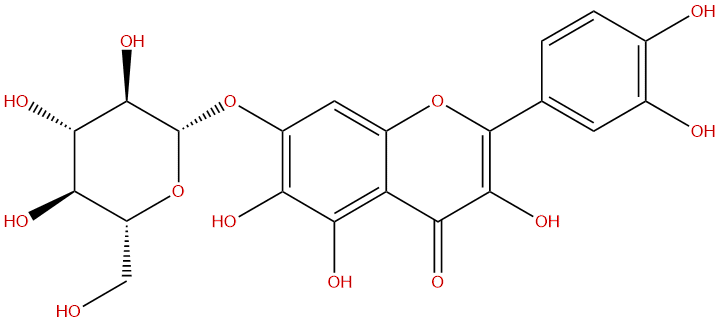 Quercetagitrin
