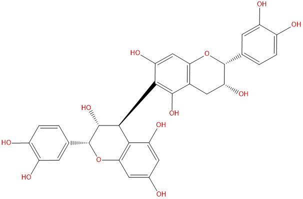 Procyanidin B5