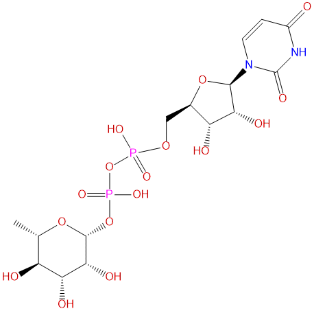 Uridine diphosphate rhamnose