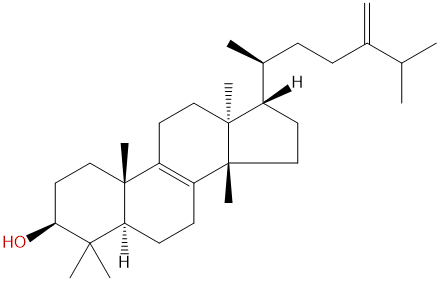 Euphorbol