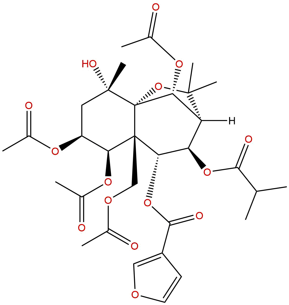 Angulatin G