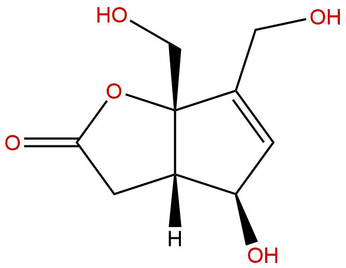 Rehmaglutin C