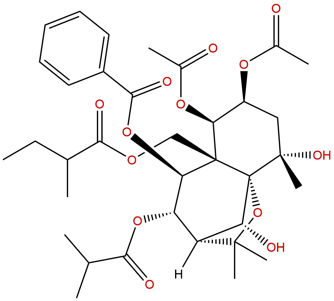 Angulatin E