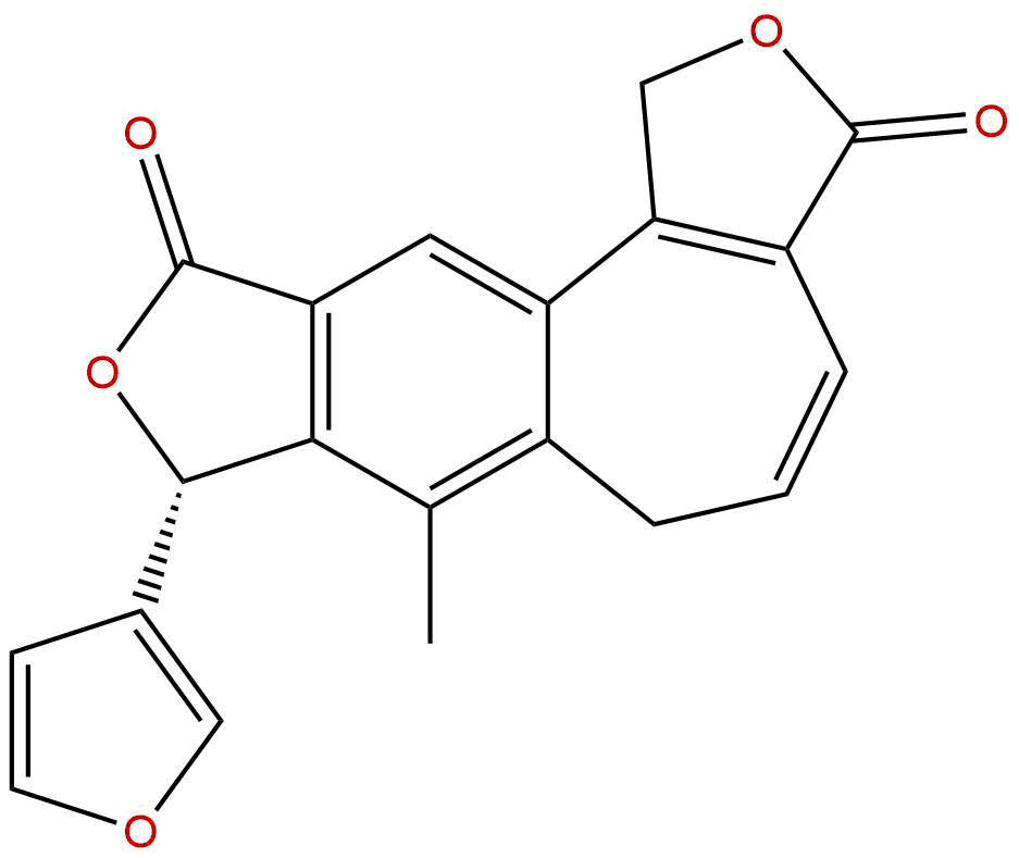 Dugesin B