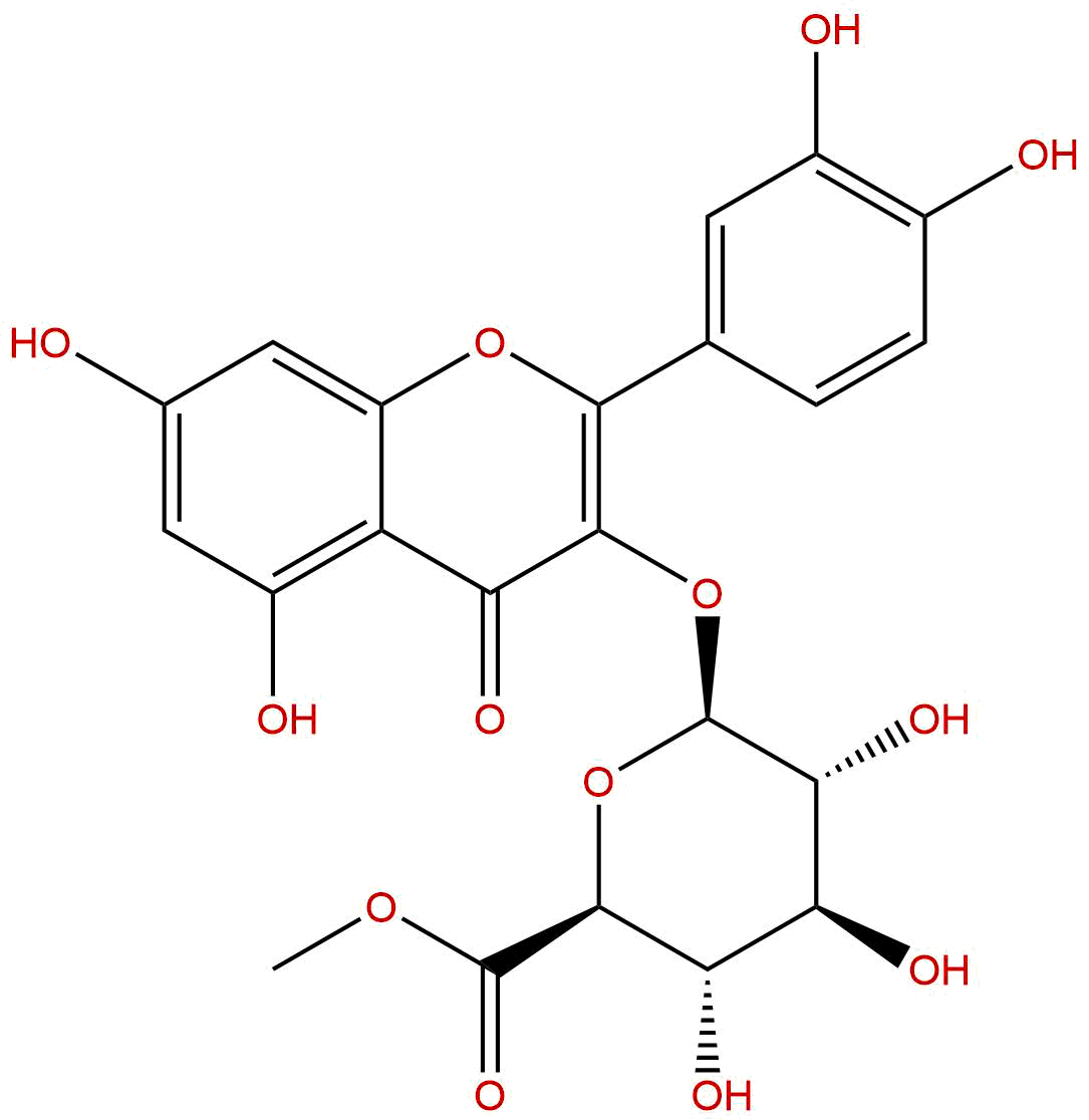 Quercetin 3-O-β-D-Glucuronide 6''-Methyl Ester
