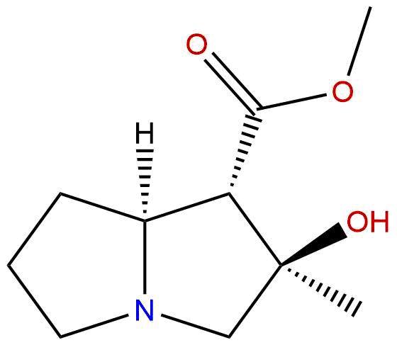 Isotussilagine