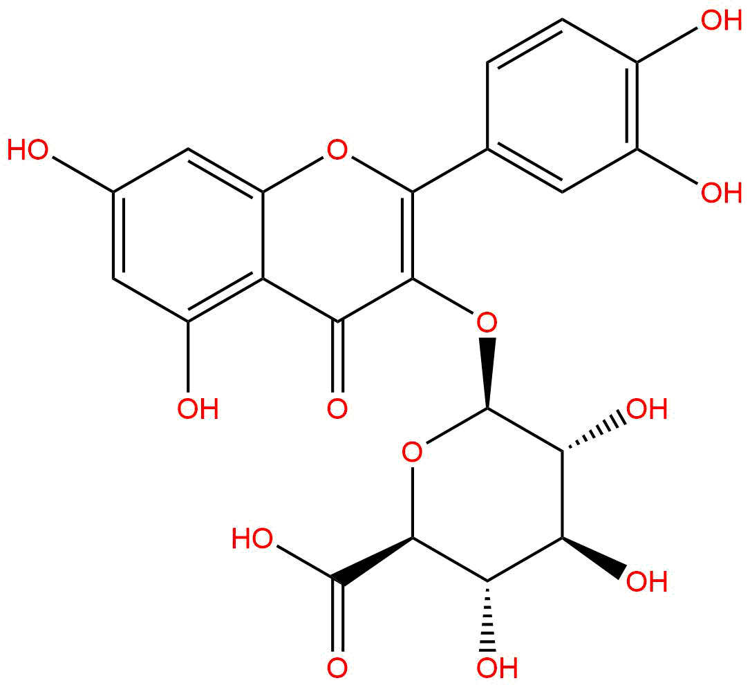 Quercetin 3-O-β-D-glucuronide