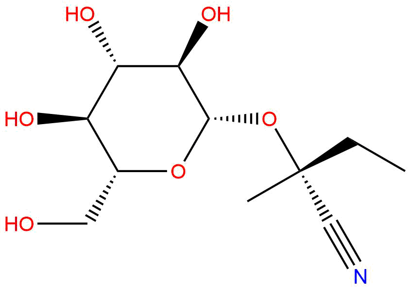 (R)-Lotaustralin