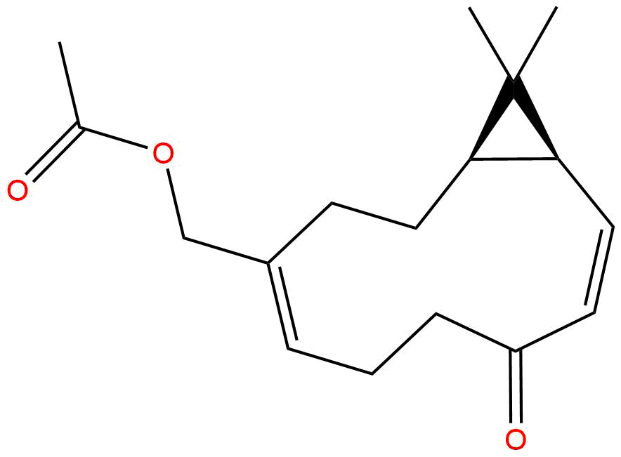 Kissoone C